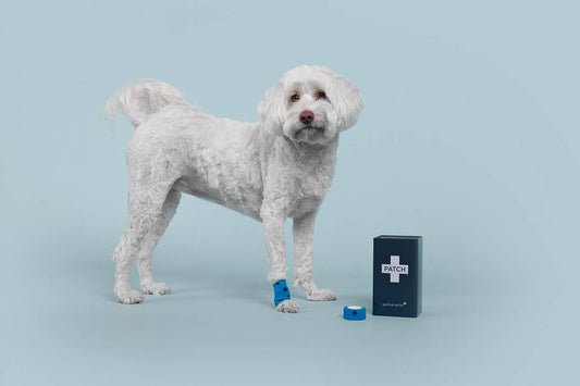Eco First-Aid Kit for Pets