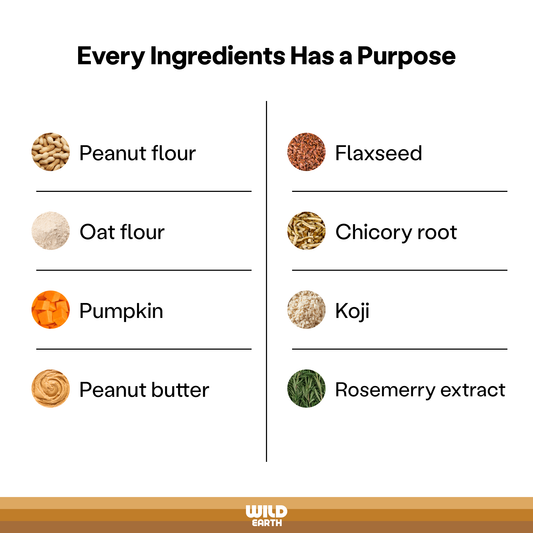 Superfood Dog Treats, Peanut Butter