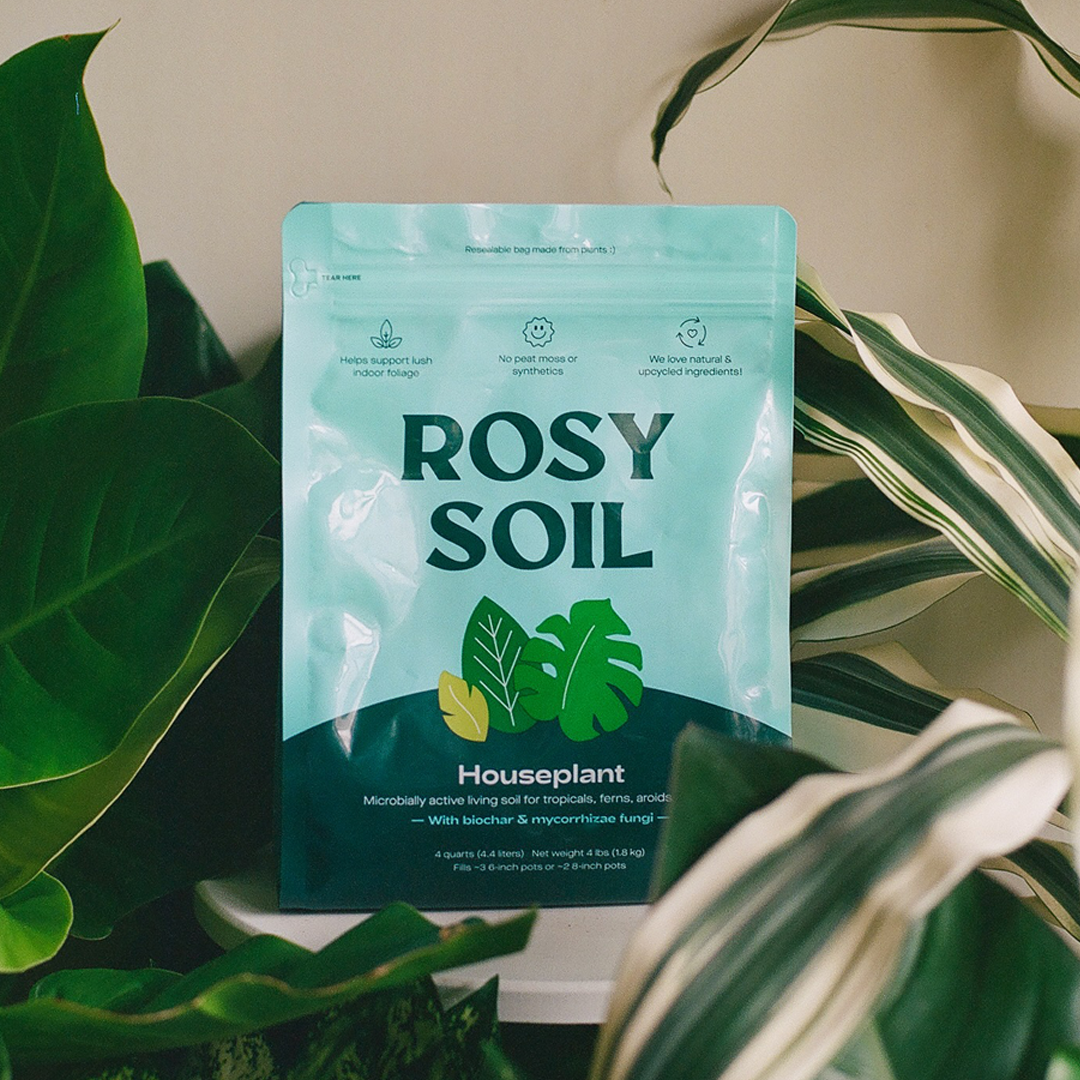 4qt Organic Potting Soil Mix for Houseplant & Herbs