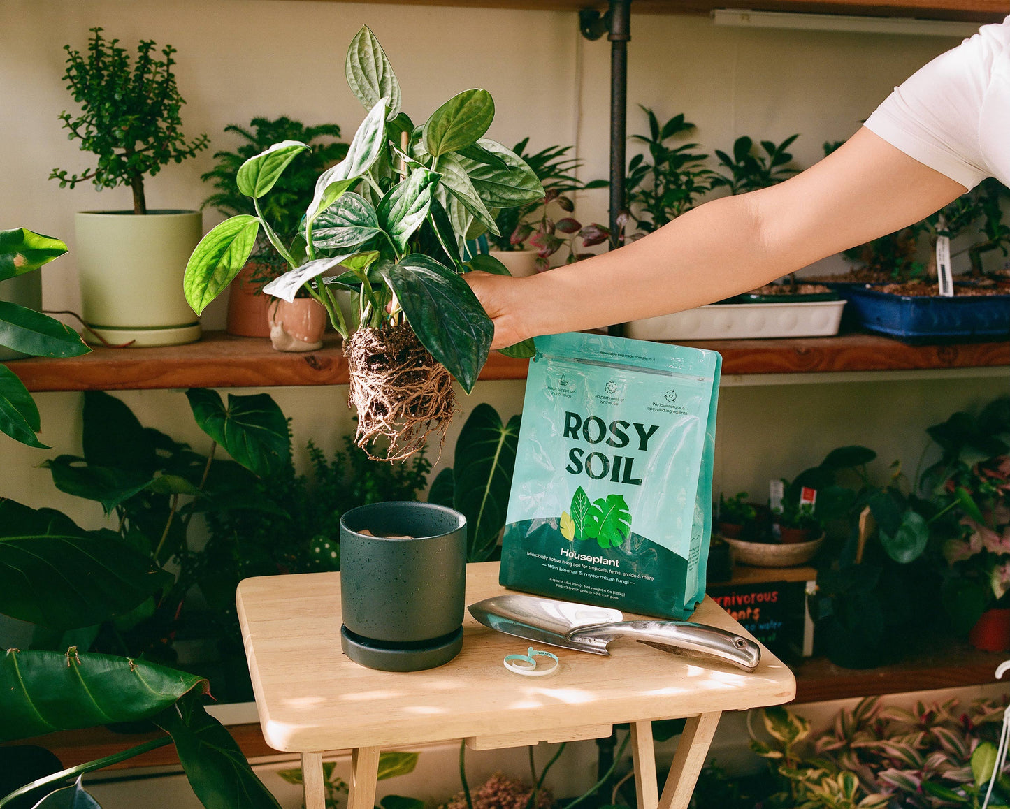 4qt Organic Potting Soil Mix for Houseplant & Herbs