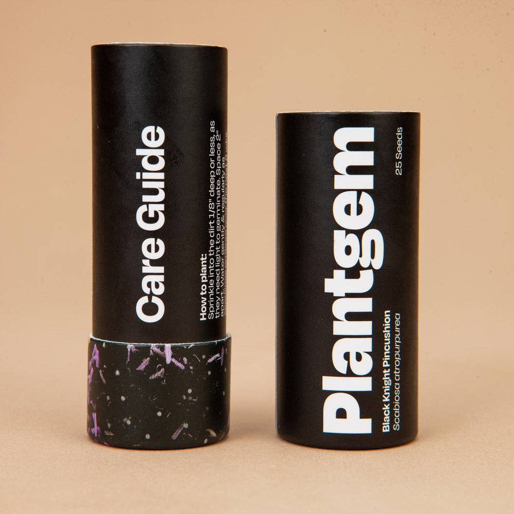 Scabiosa Black Knight - 100 Seeds