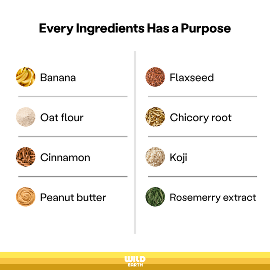 Superfood Dog Treats, Banana Cinnamon