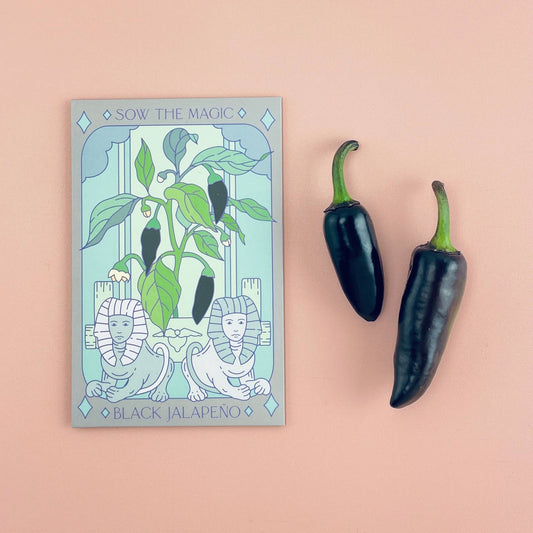 Black Hungarian Jalapeño Tarot Garden