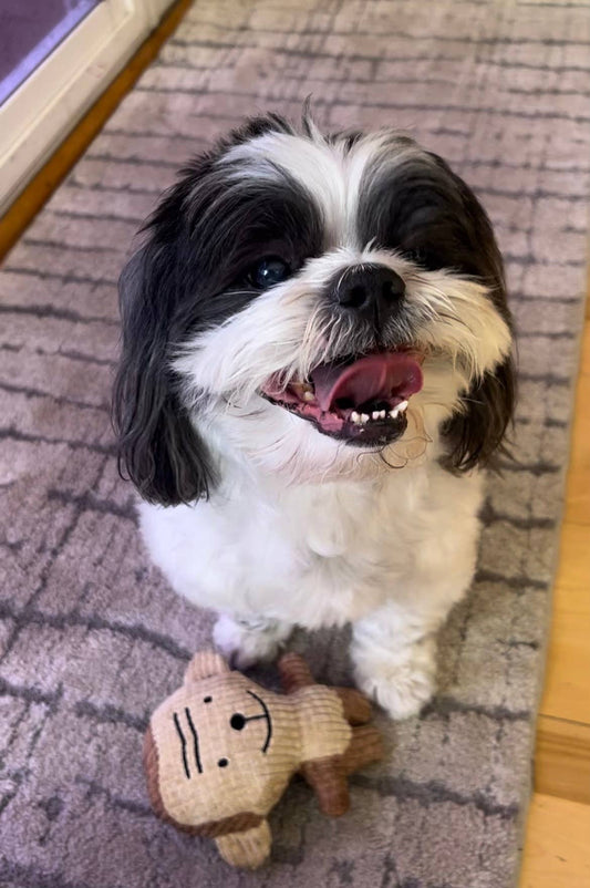 Monkey Small Plush Dog Toy