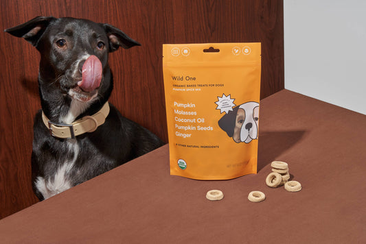 Pumpkin Spice Vegan Dog Treats