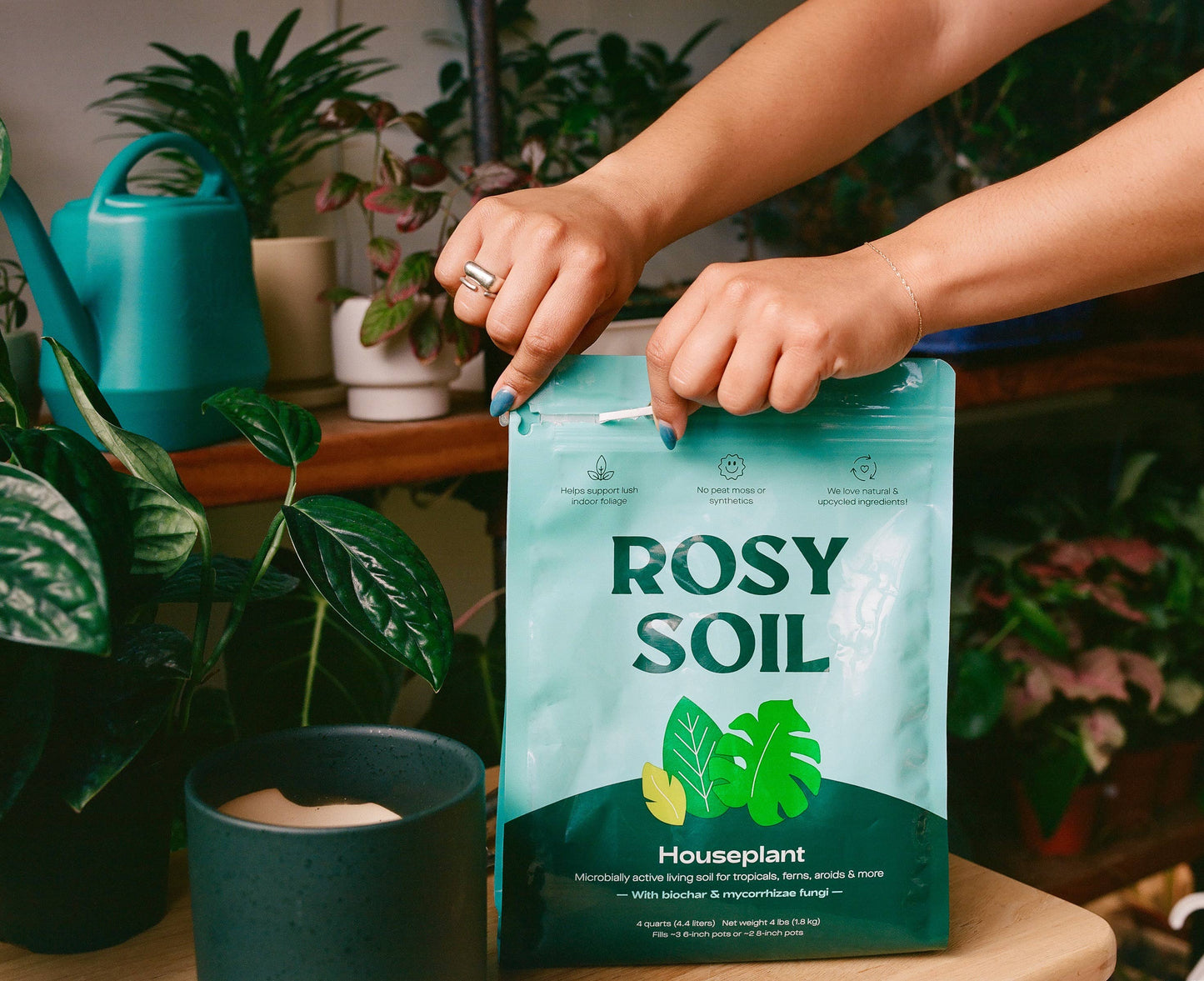 4qt Organic Potting Soil Mix for Houseplant & Herbs