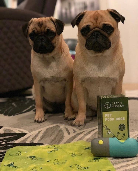 Earth-Friendly Poop Bags