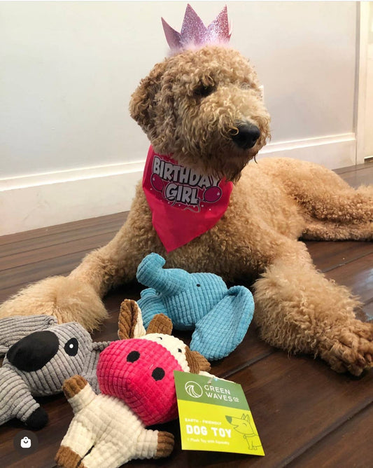 Koala Small Plush Dog Toy