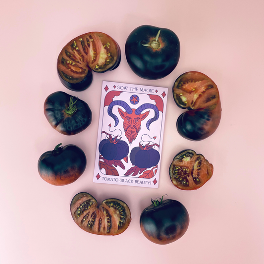Black Beauty Tomato Tarot Garden