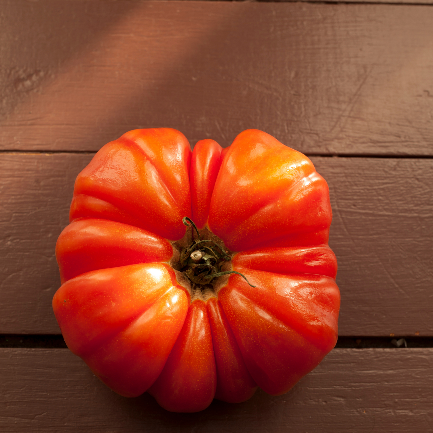 Mushroom Basket Tomato Tarot Garden