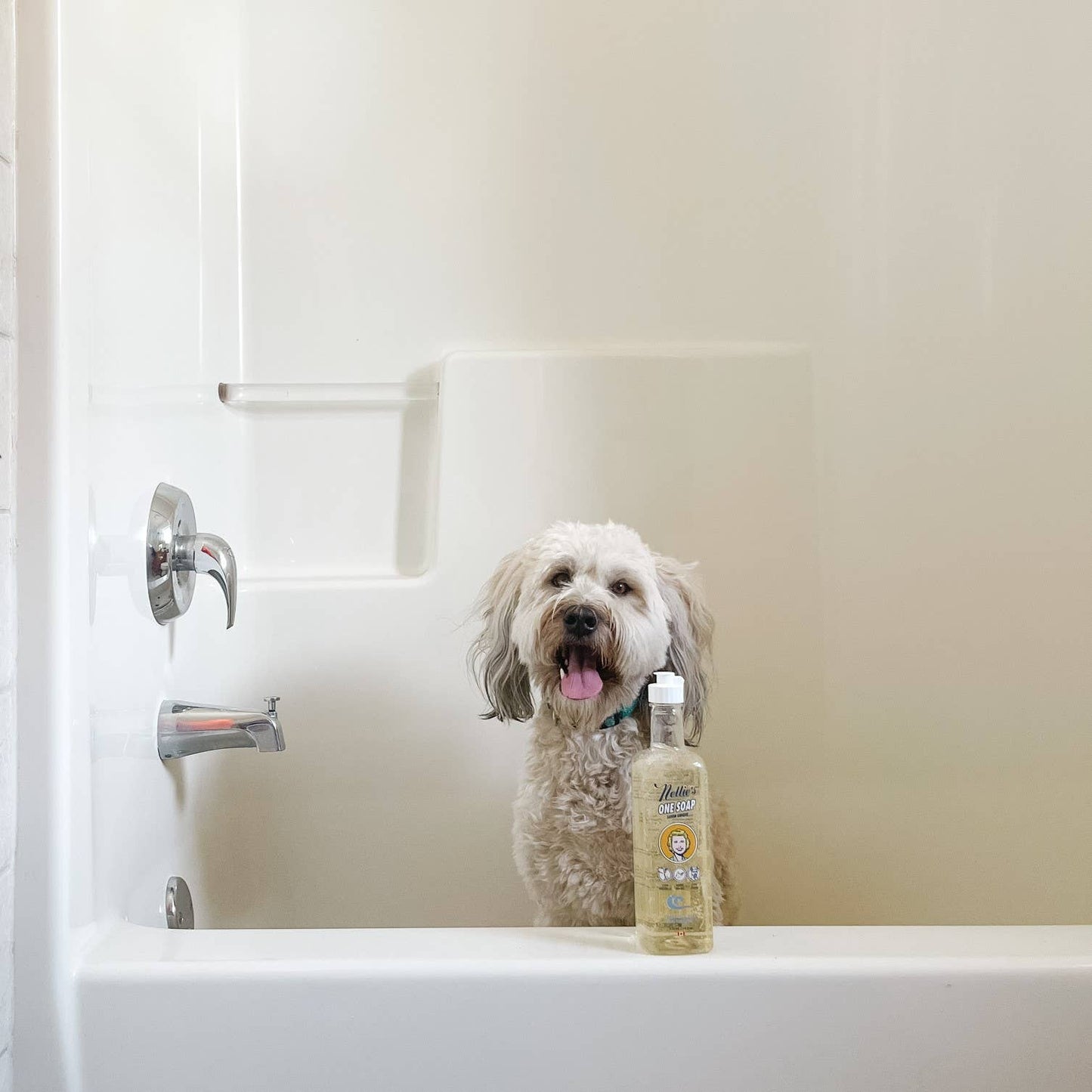One Soap Fragrance Free (Dish, Hand, Pet)