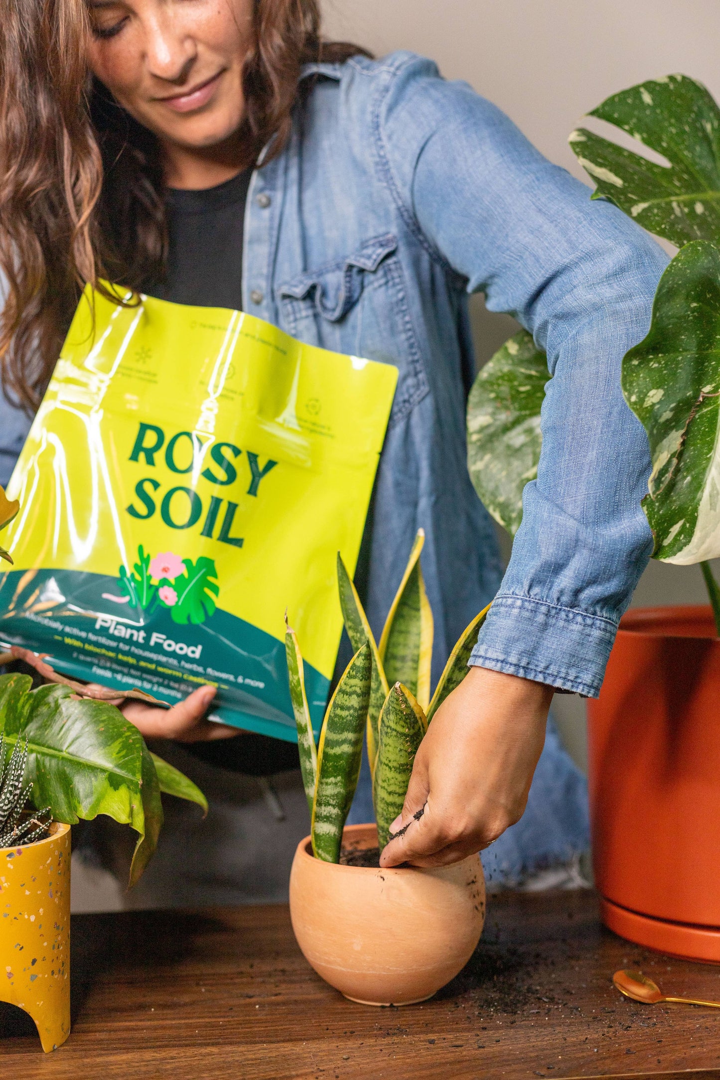 2qt Plant Food