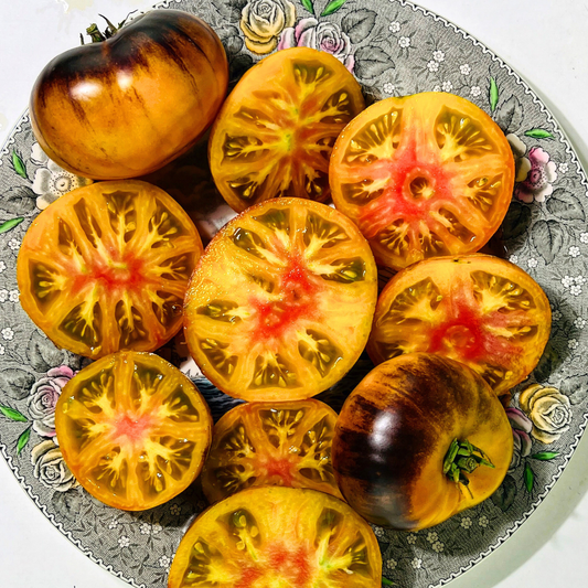 Lucid Gem Tomato Tarot Garden