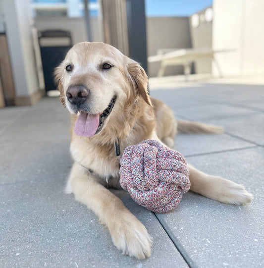 Sustainable Large Rope Dog Ball
