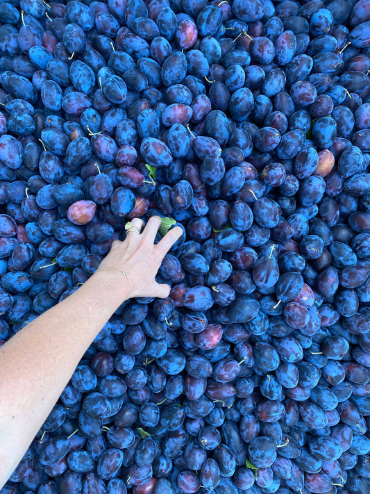 Vanilla Plum Medley Spoon Preserves