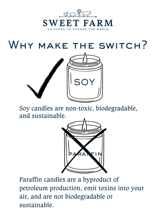 Orange Zest Scented Soy Wax Candle
