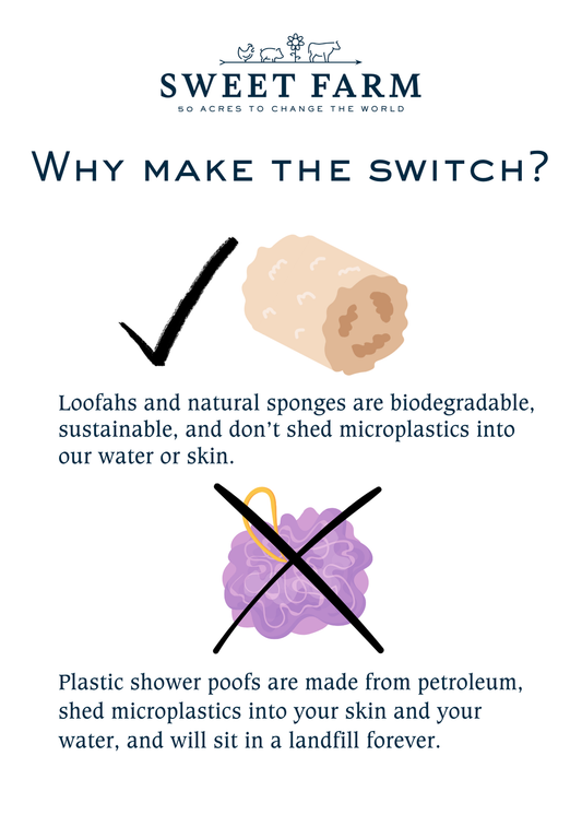 Natural Loofah Sponge