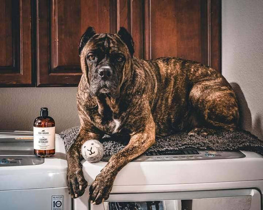 Pet Natural Laundry Detergent