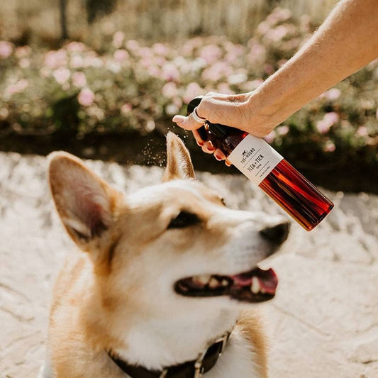 Pet Flea & Tick Spray