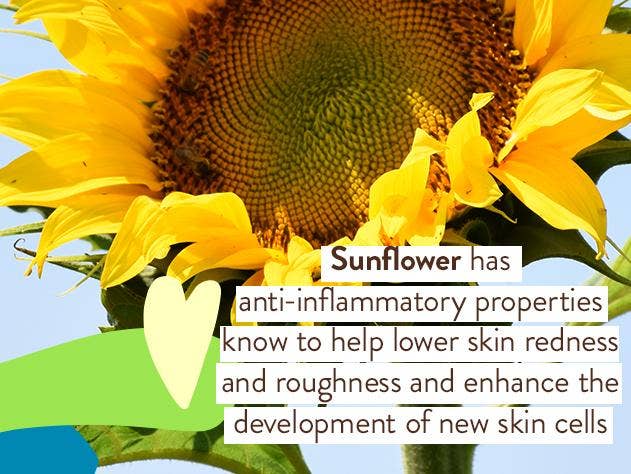 Super Shield Mineral Sunscreen Spray SPF50