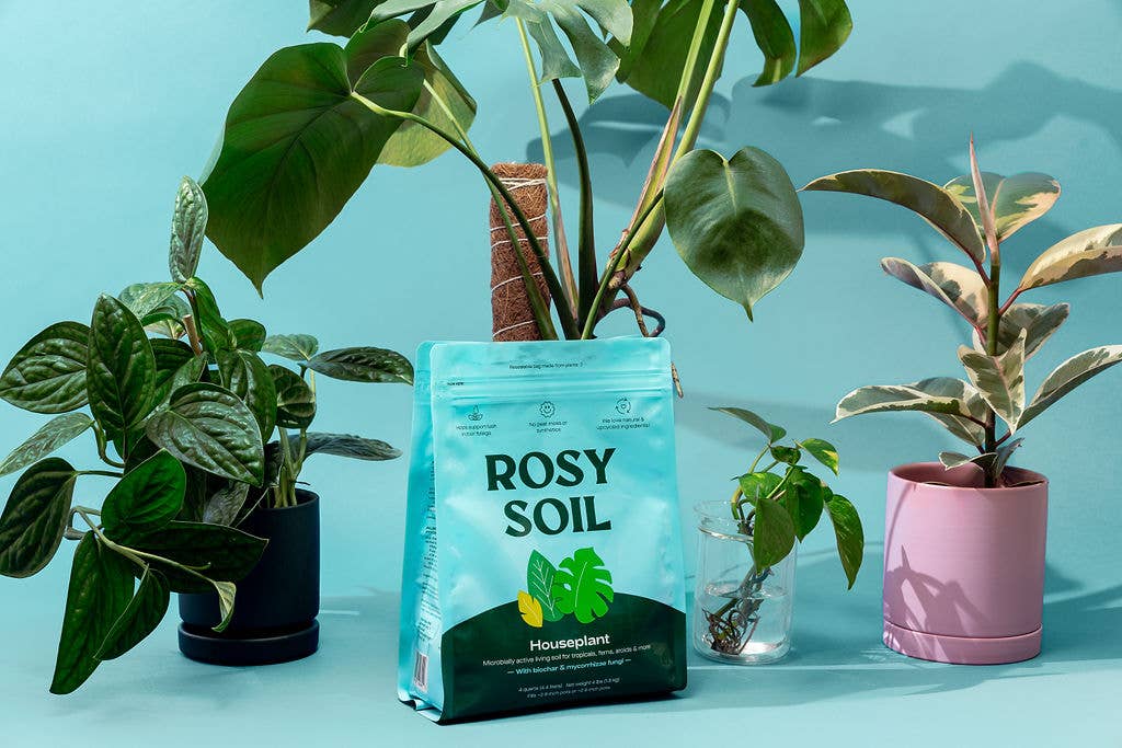 4qt Organic Potting Soil Mix for Houseplant & Herbs