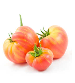 Hillbilly Tomato Garden