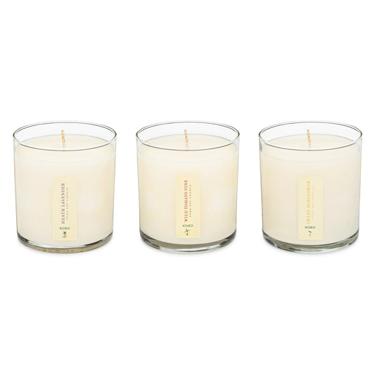 Plant the Box Votive Candle Trio, Endless Summer