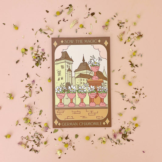 German Chamomile Tarot Garden