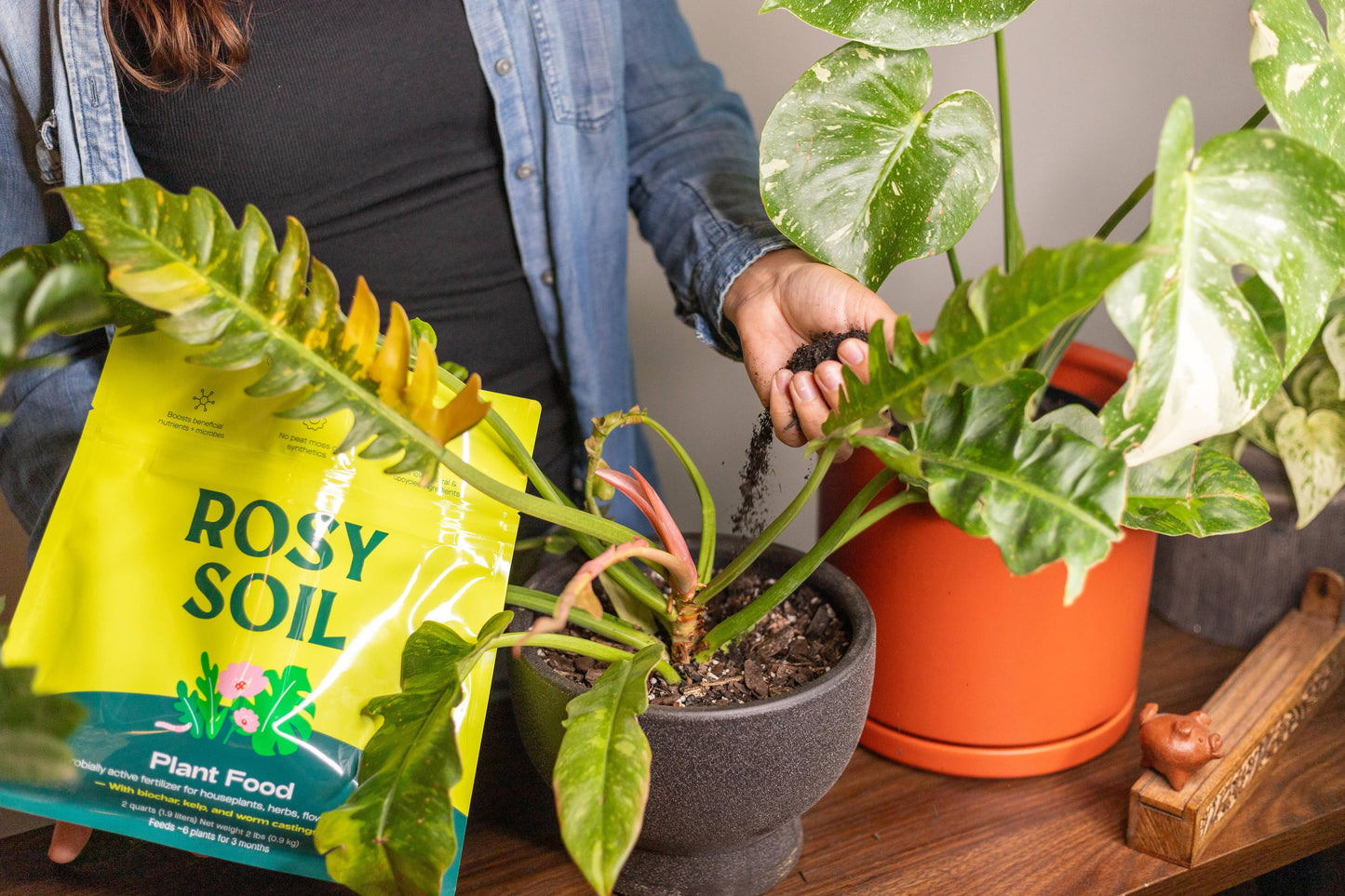 2qt Plant Food