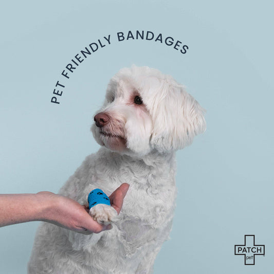 On-The-Go Travel Bandage Kit For Pets