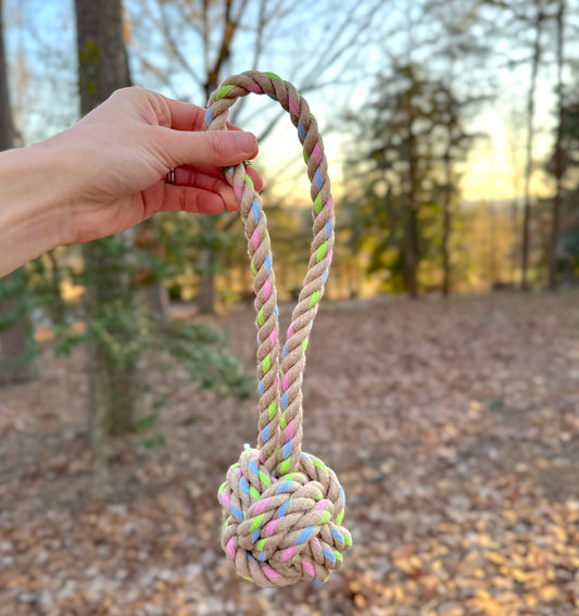 Rainbow Joy Dog Tugger