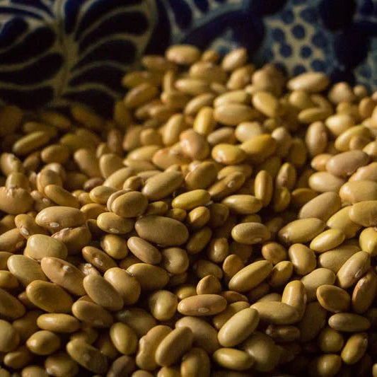 Rancho Gordo Mayocoba Bean