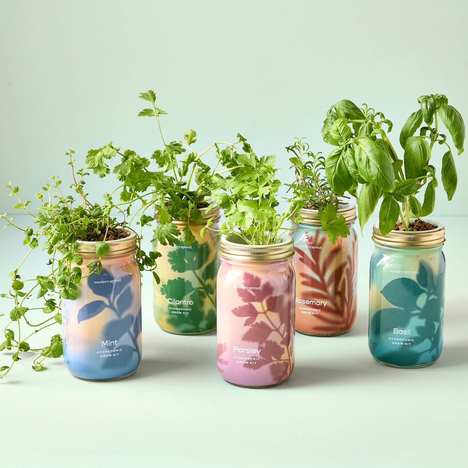 Gardening