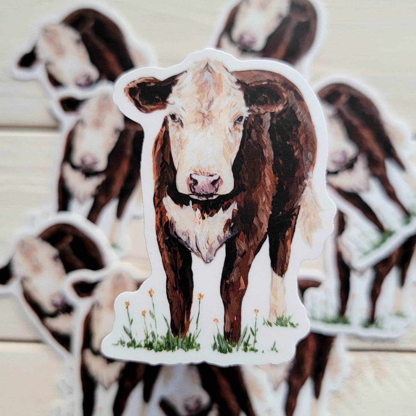 Hereford Red and White Cow Vinyl Sticker