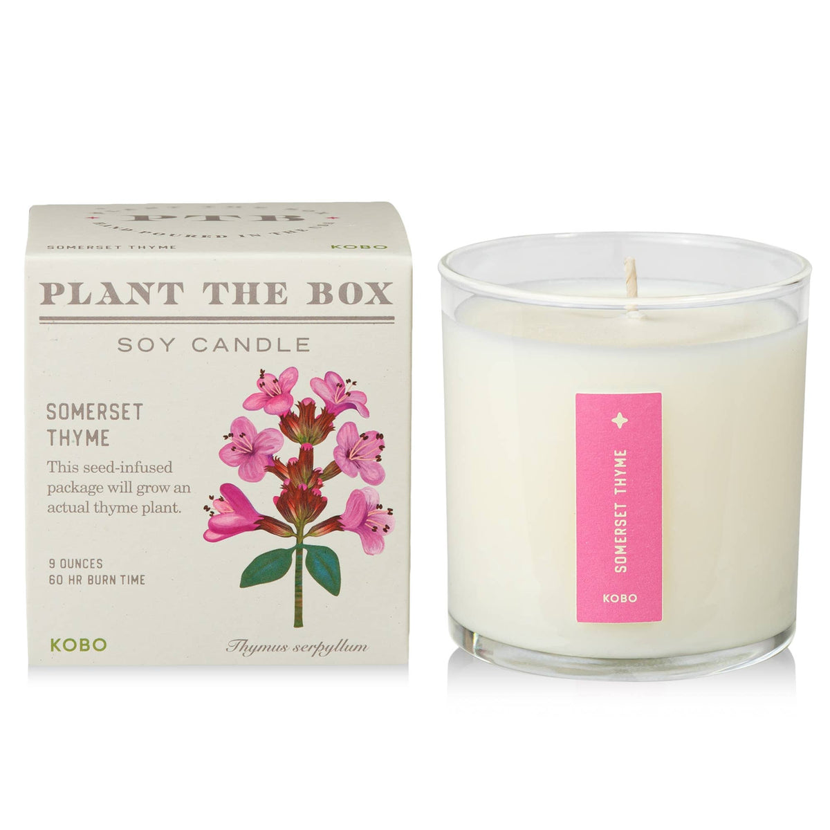 Plant the Box Candle, Somerset Thyme
