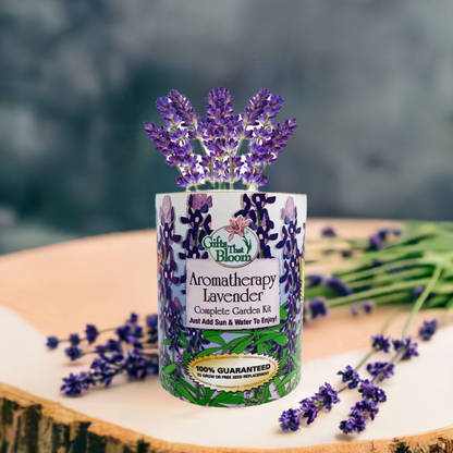 Aromatherapy Lavender Garden Seed Kit