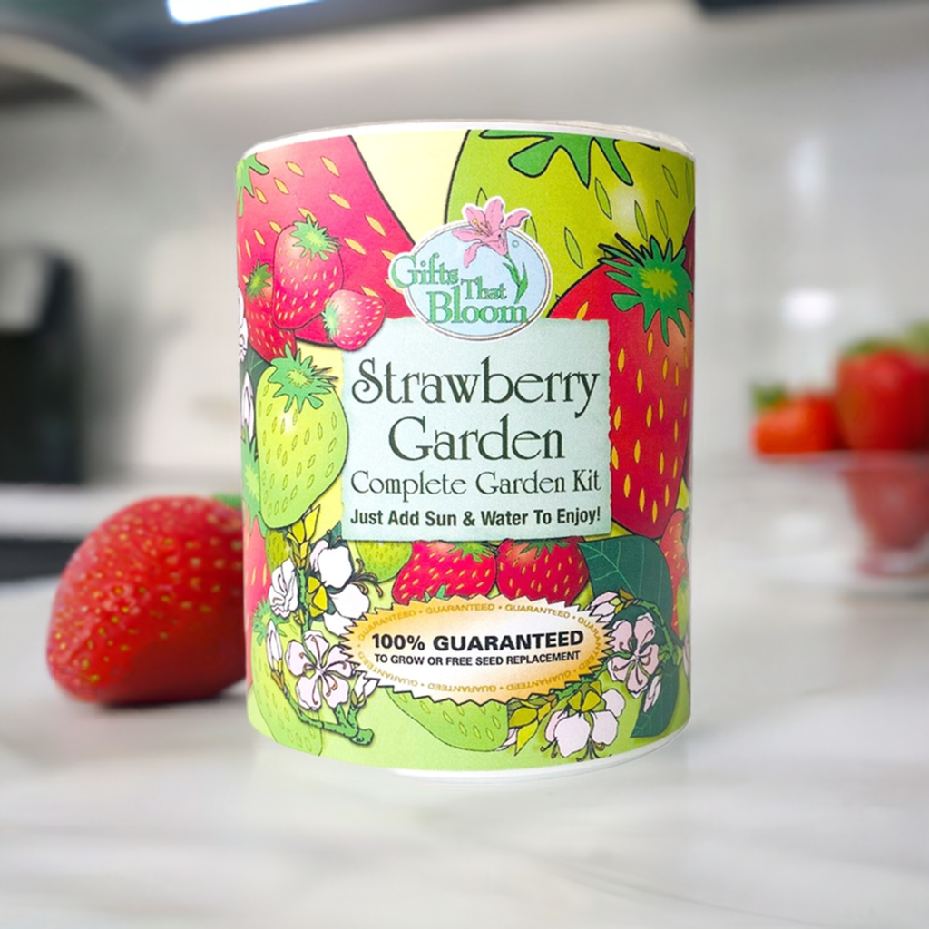 Strawberry Garden Seed Kit