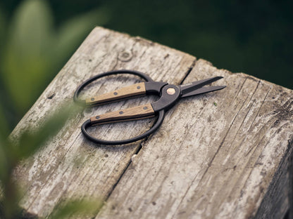Garden Scissors, Small