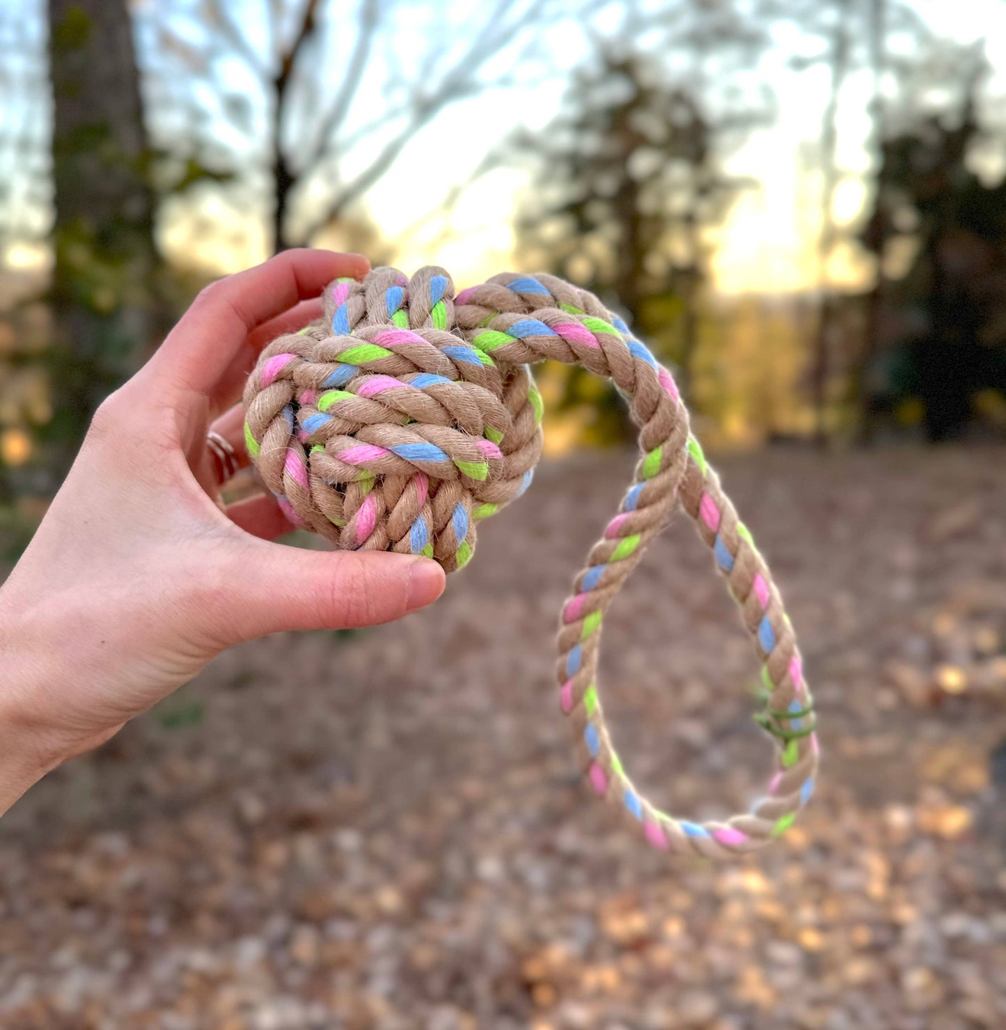 Rainbow Joy Dog Tugger