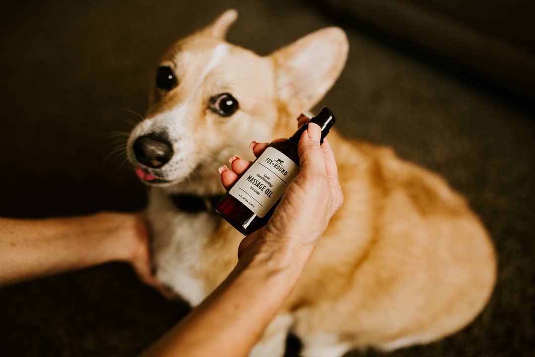 Dog Calming Massage Oil