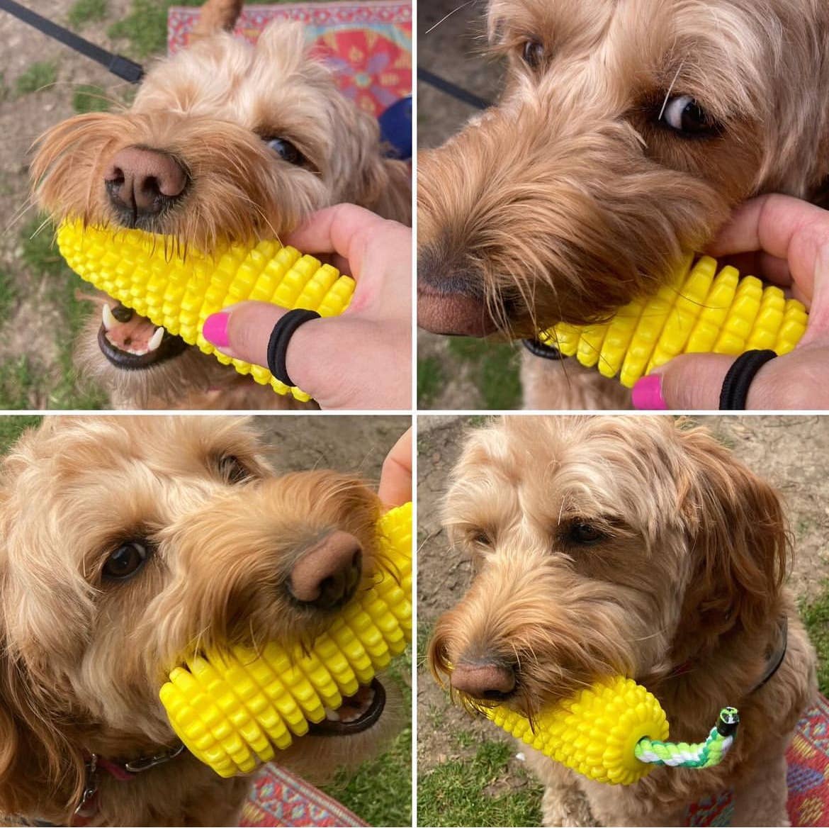 Corn-Shaped Dental Chew Dog Toy