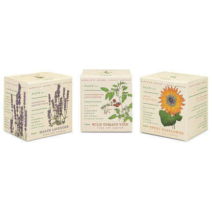 Plant the Box Votive Candle Trio, Endless Summer