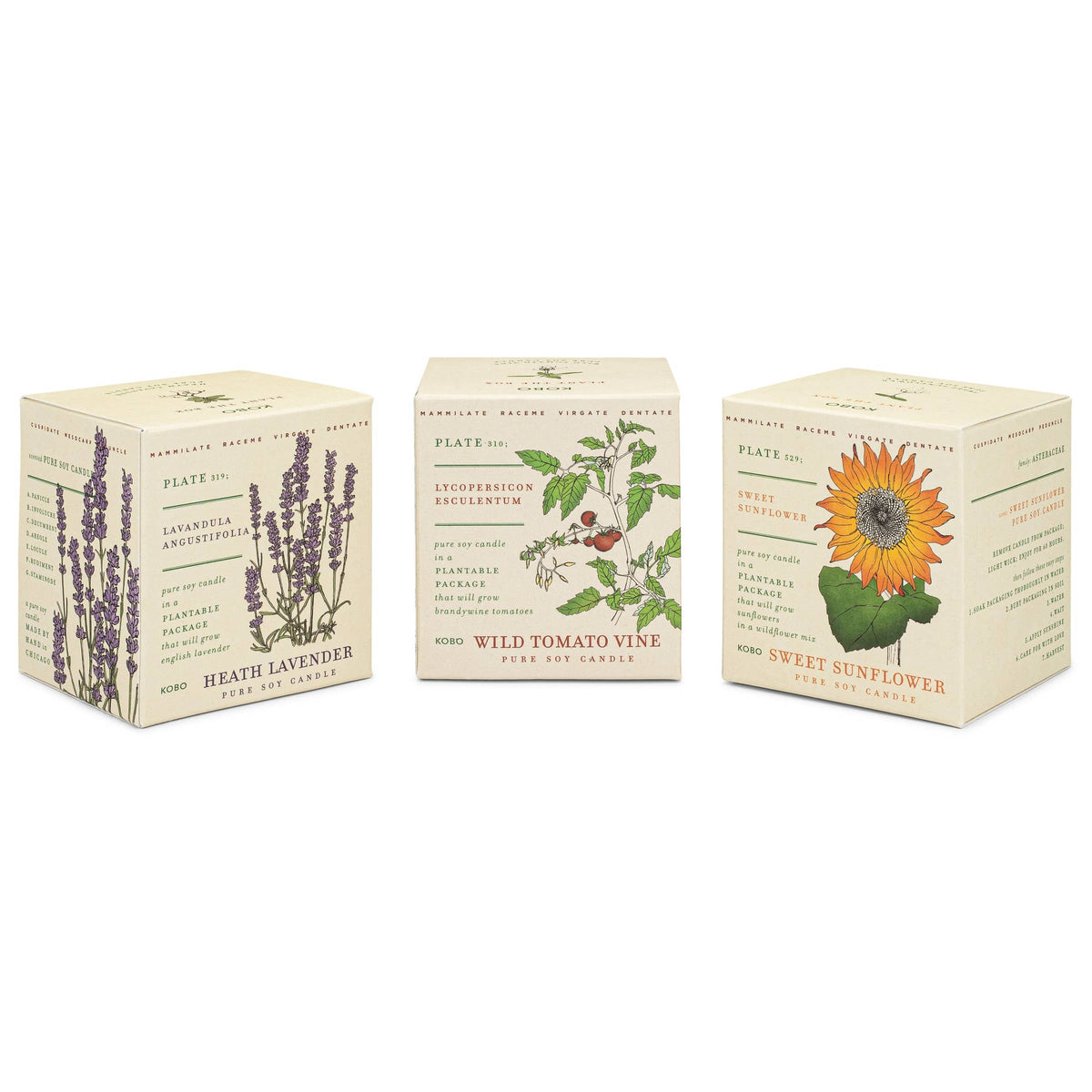 Plant the Box Votive Candle Trio, Endless Summer
