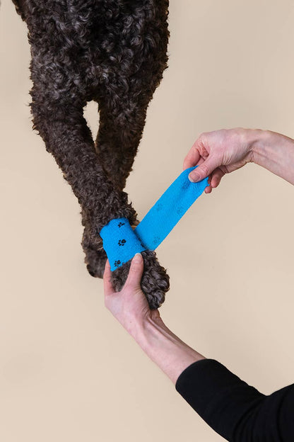 Eco First-Aid Kit for Pets