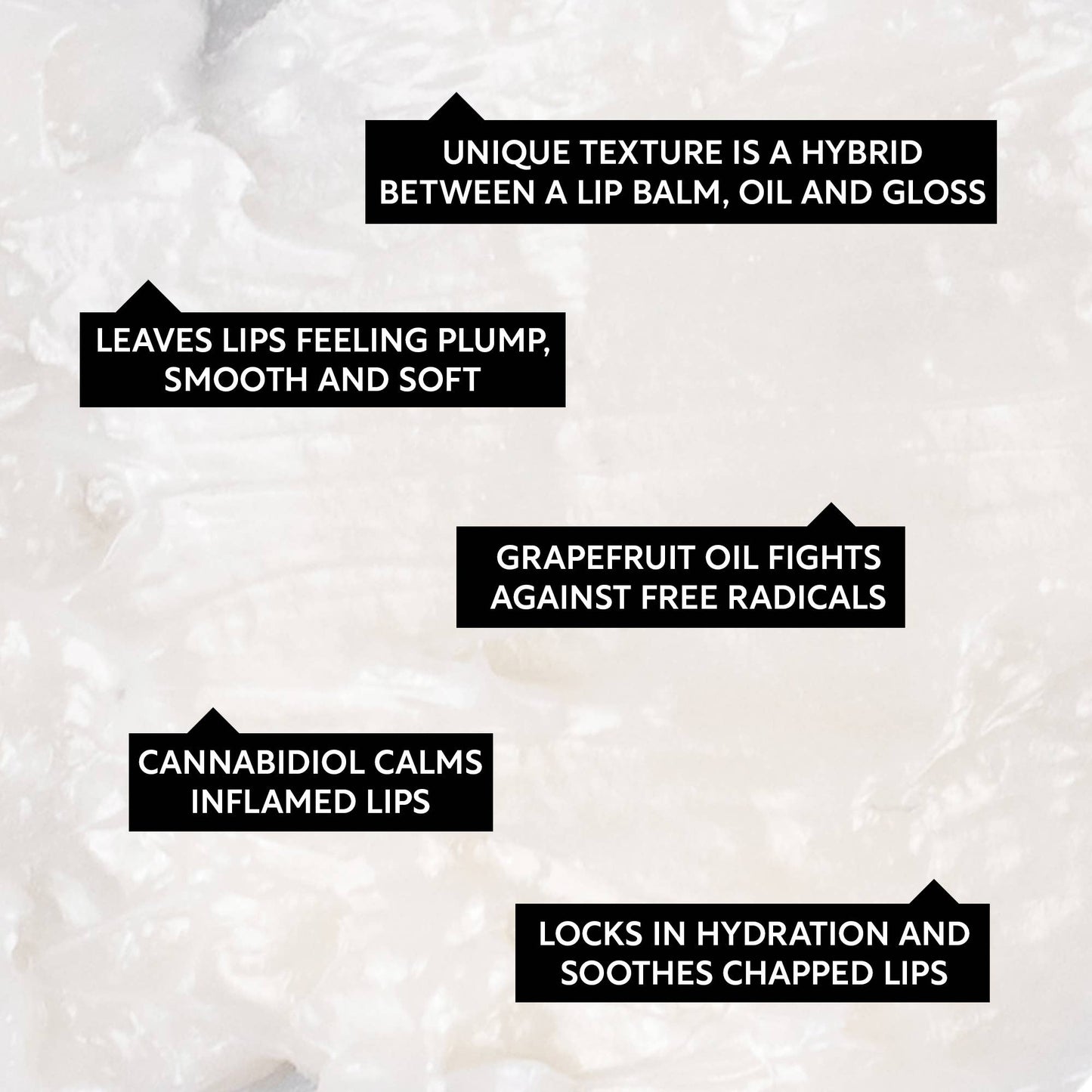 Natural Lip Balm Gift Set