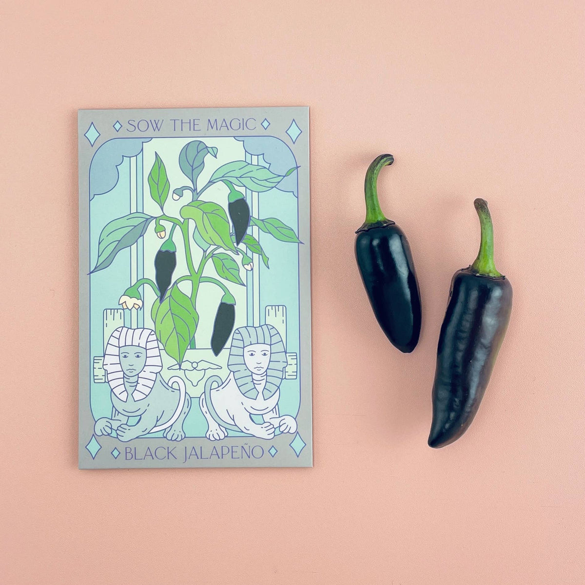 Black Hungarian Jalapeño Tarot Garden