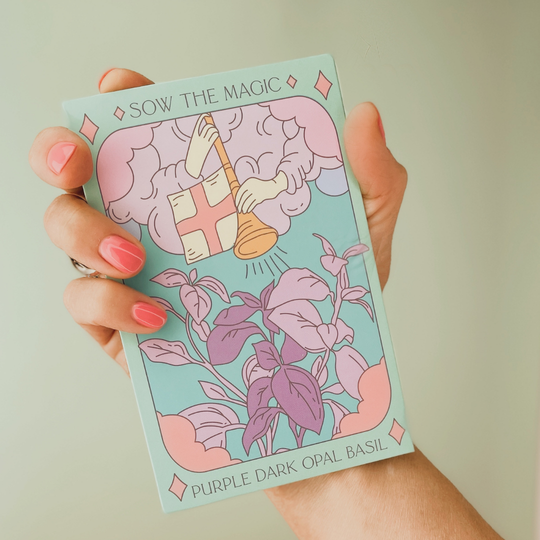 Purple Dark Opal Basil Tarot Garden