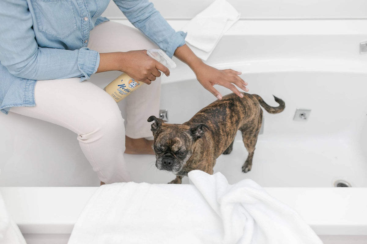 Fresh Dog Waterless Dog Shampoo