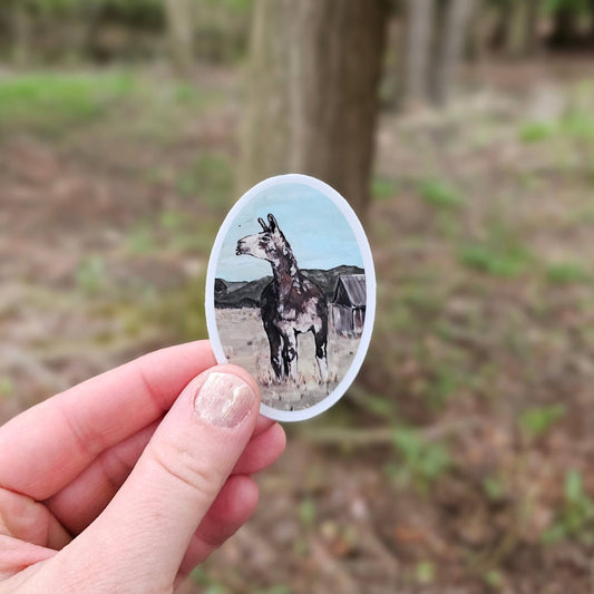 Paco Vinyl Sticker