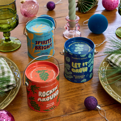 Holiday Complimentary Colors Grow Kits